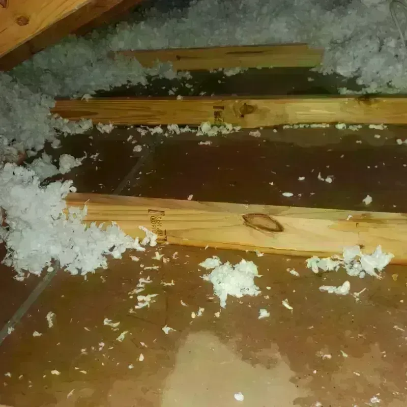 Attic Water Damage in Lake Saint Louis, MO