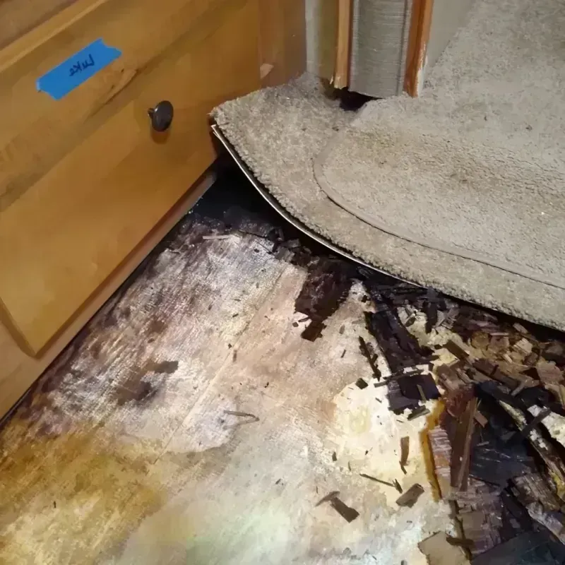 Wood Floor Water Damage in Lake Saint Louis, MO